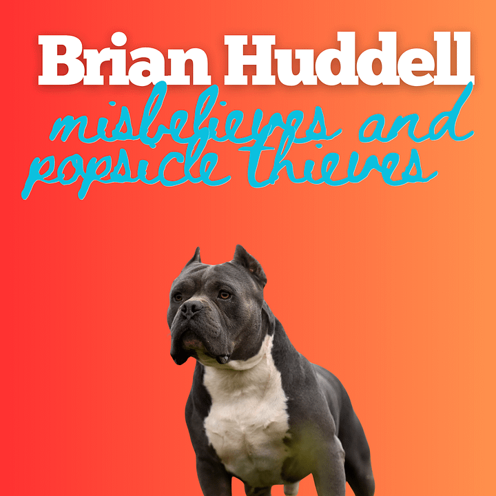 Brian Huddell: Misbelieves and Popsicle Thieves product image (1)