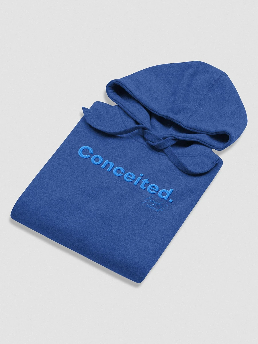 Concieted Embroidered Hoodie F&E1 product image (4)