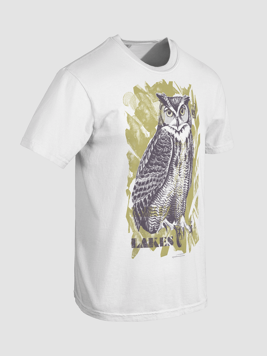 Lakes Owl T-Shirt product image (7)
