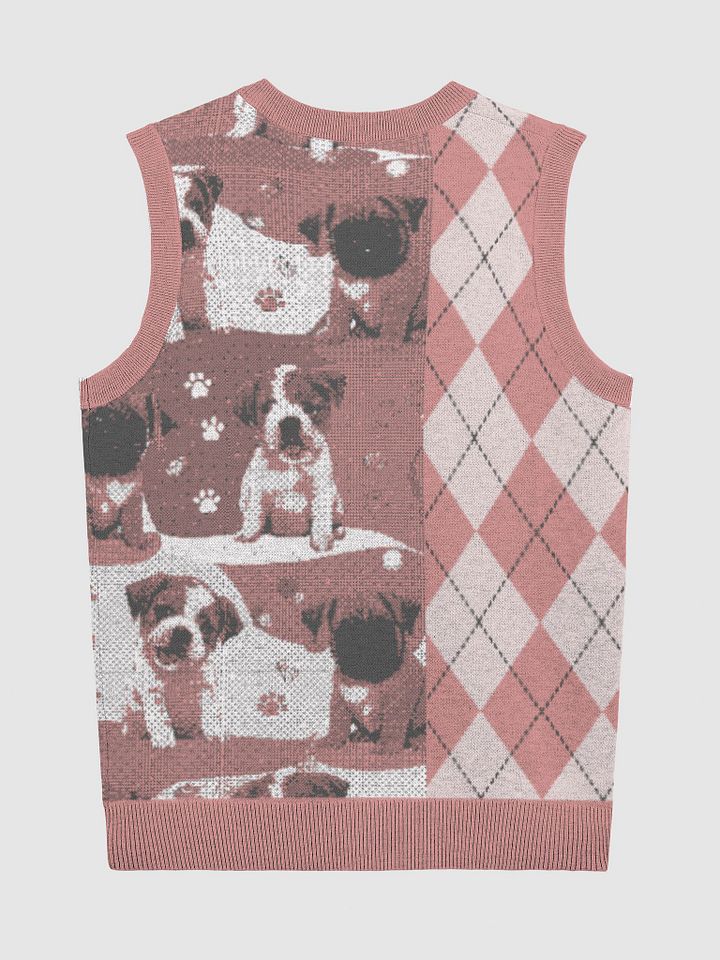 Argyle Paws Knitted V-Neck Vest product image (2)