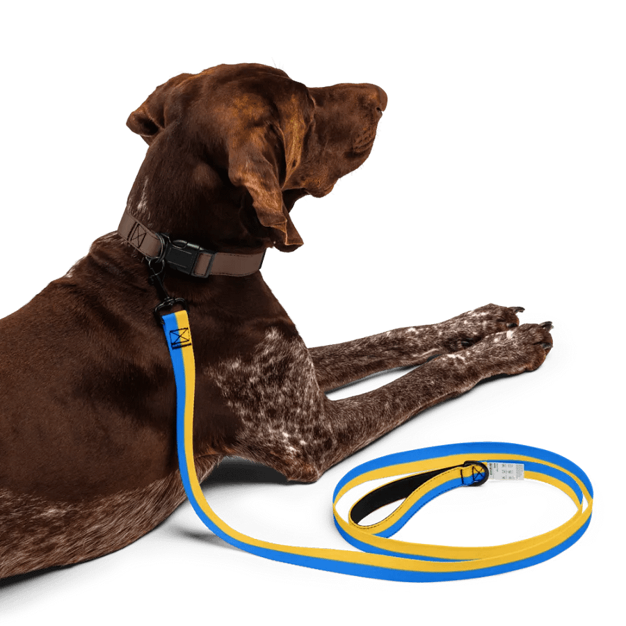 Sunset Stripes Pet Leash product image (5)