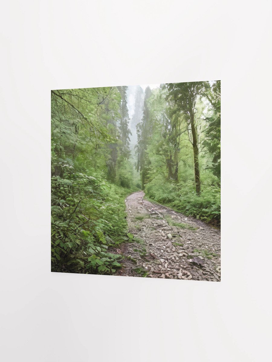 Enchanted Forest Path Poster product image (6)