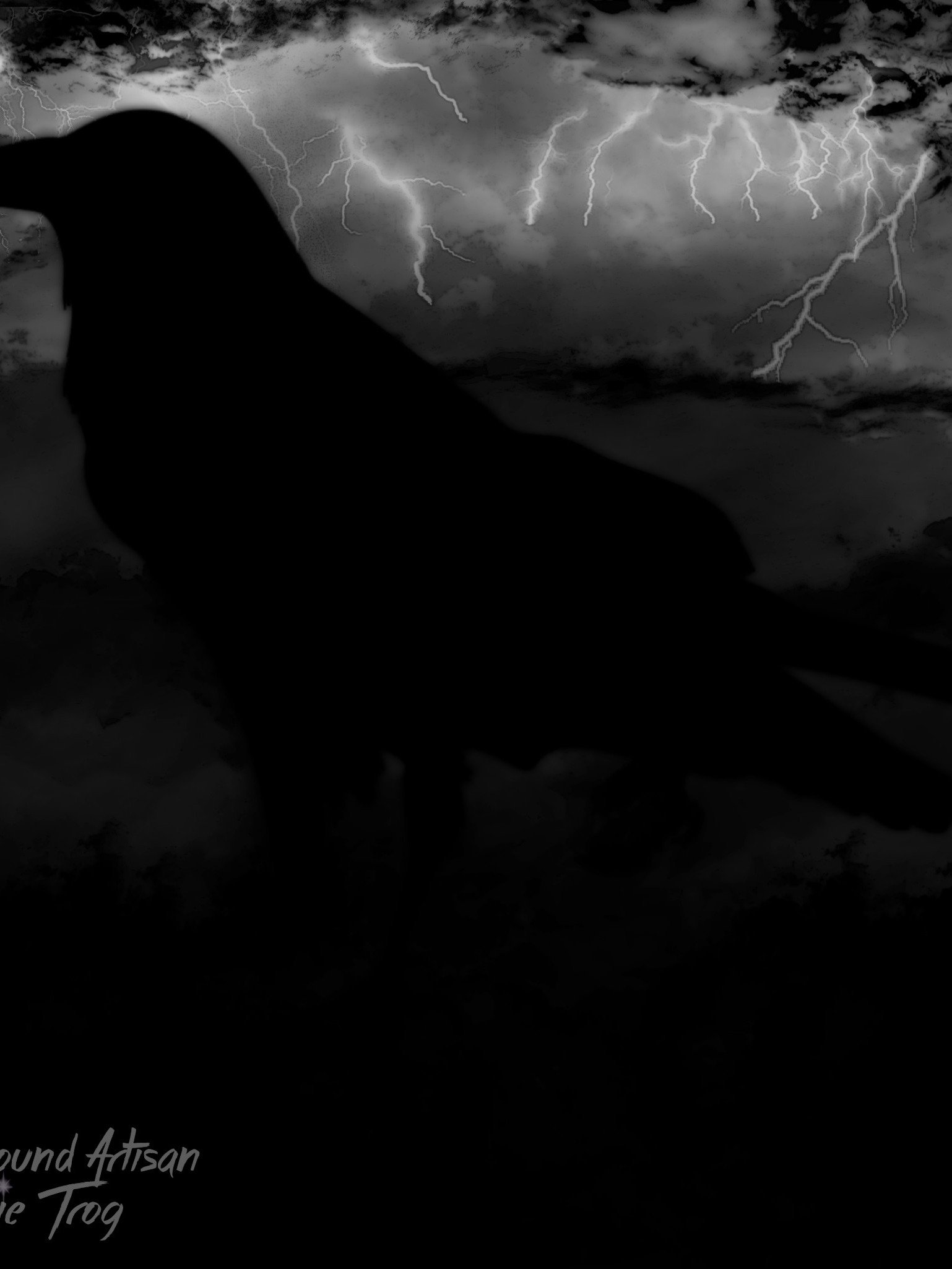 Storm Crow | Spellbound Studio product image (1)