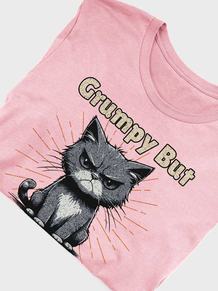 Grumpy But Fabulous Cat Cartoon T-Shirt product image (27)