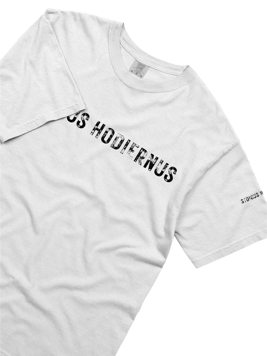 “Stoicus Hodiernus” – Modern Icarus Tee product image (3)