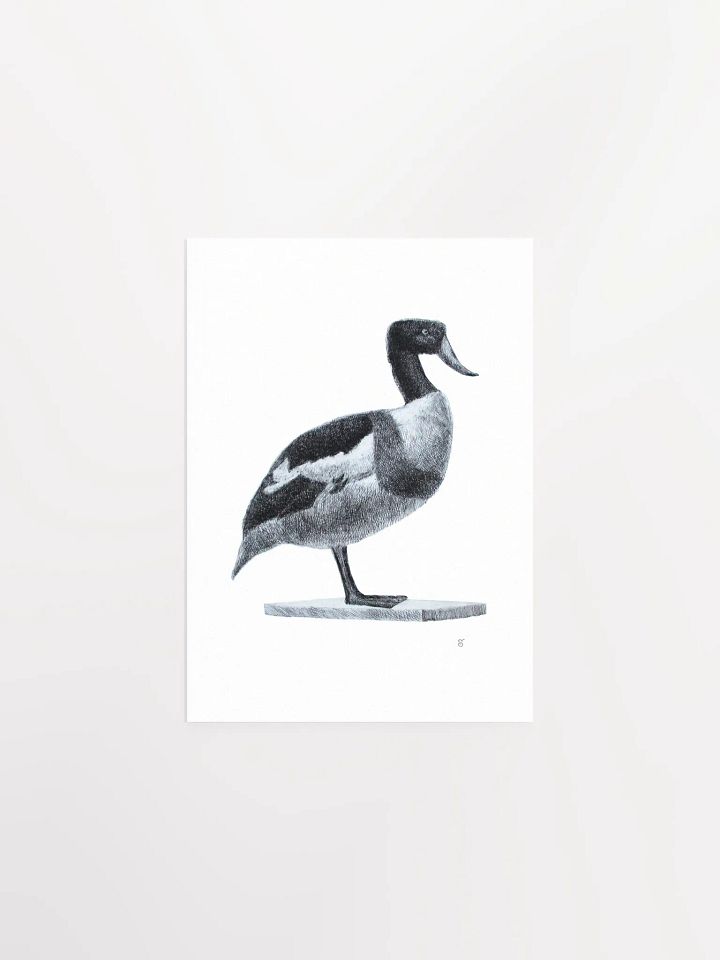 Majestic Bird Illustration Poster - Duck product image (1)