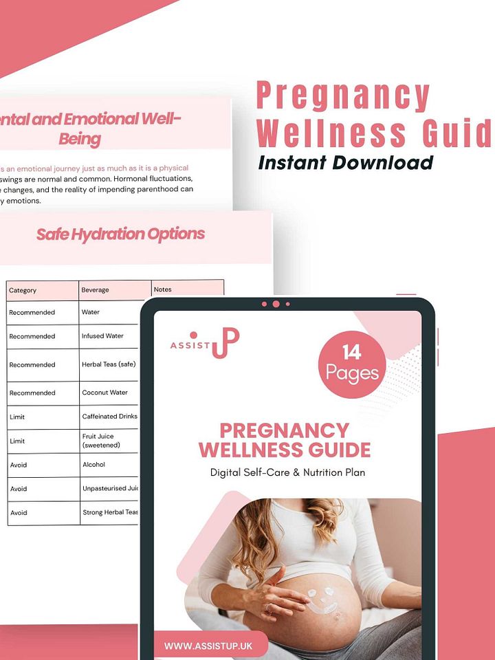 Pregnancy Wellness Guide product image (2)
