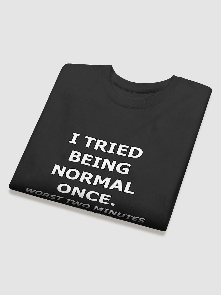 Premium Sweatshirt - Byakko Being Normal Edition product image (27)
