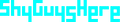 shyguyshere