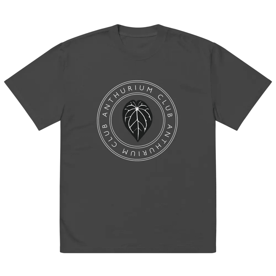 Anthurium Club Oversized Tee product image (3)