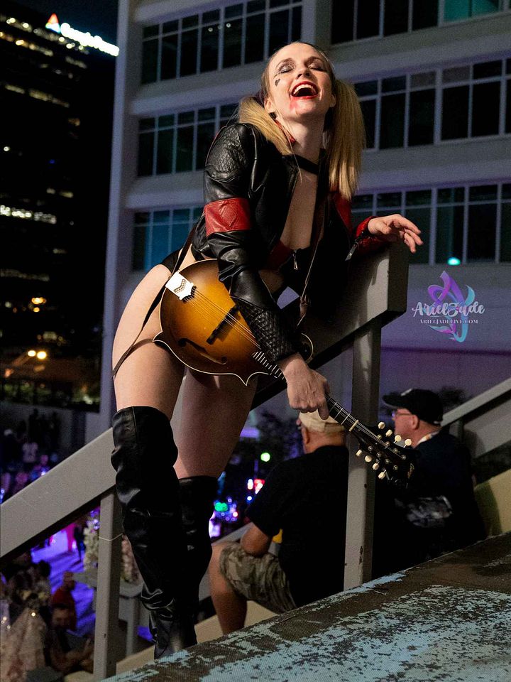 Pin-up Harley Quinn Cosplay Set (OC) product image (1)