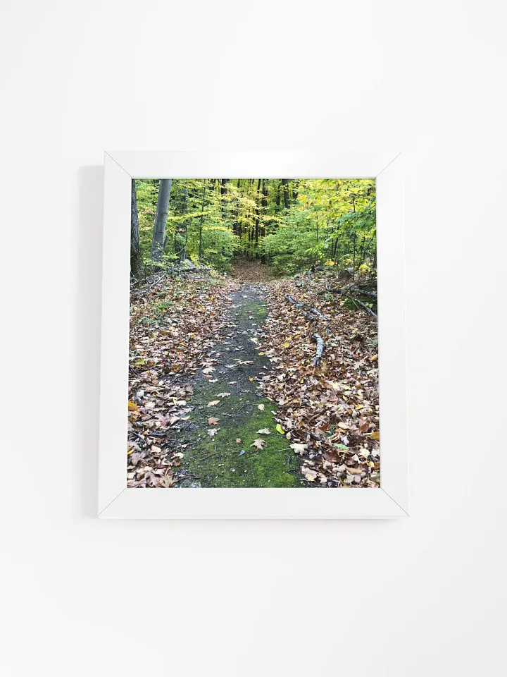 Trail in the Fall High Quality Matte Poster product image (1)