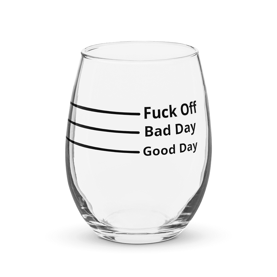 Bold and Unapologetic Stemless Wine Glass product image (1)