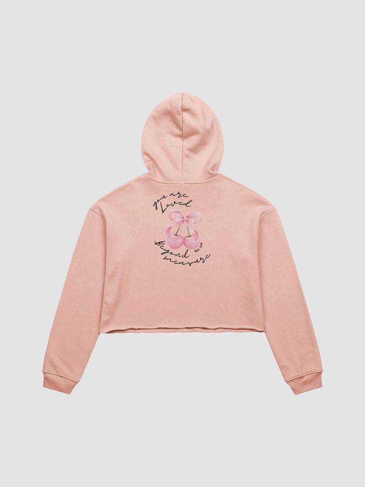 Beyond Measure Bow Hoodie product image (3)