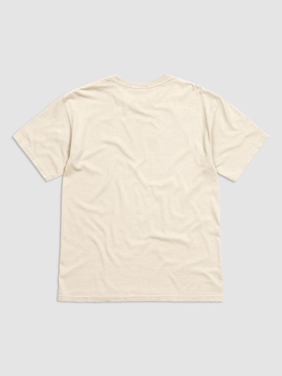APPLE RANKINGS: SWEETANGO APPLE T-SHIRT (Regular Fit) product image (2)