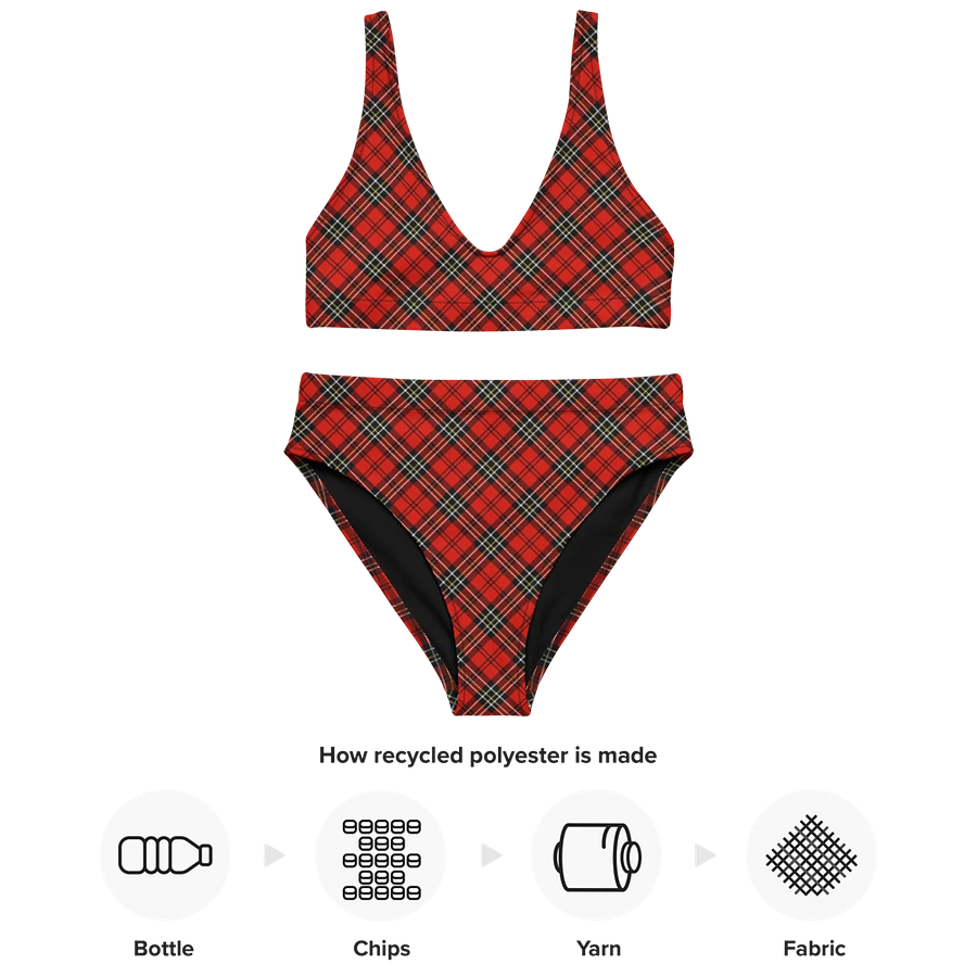 Red Vintage Plaid Bikini product image (10)