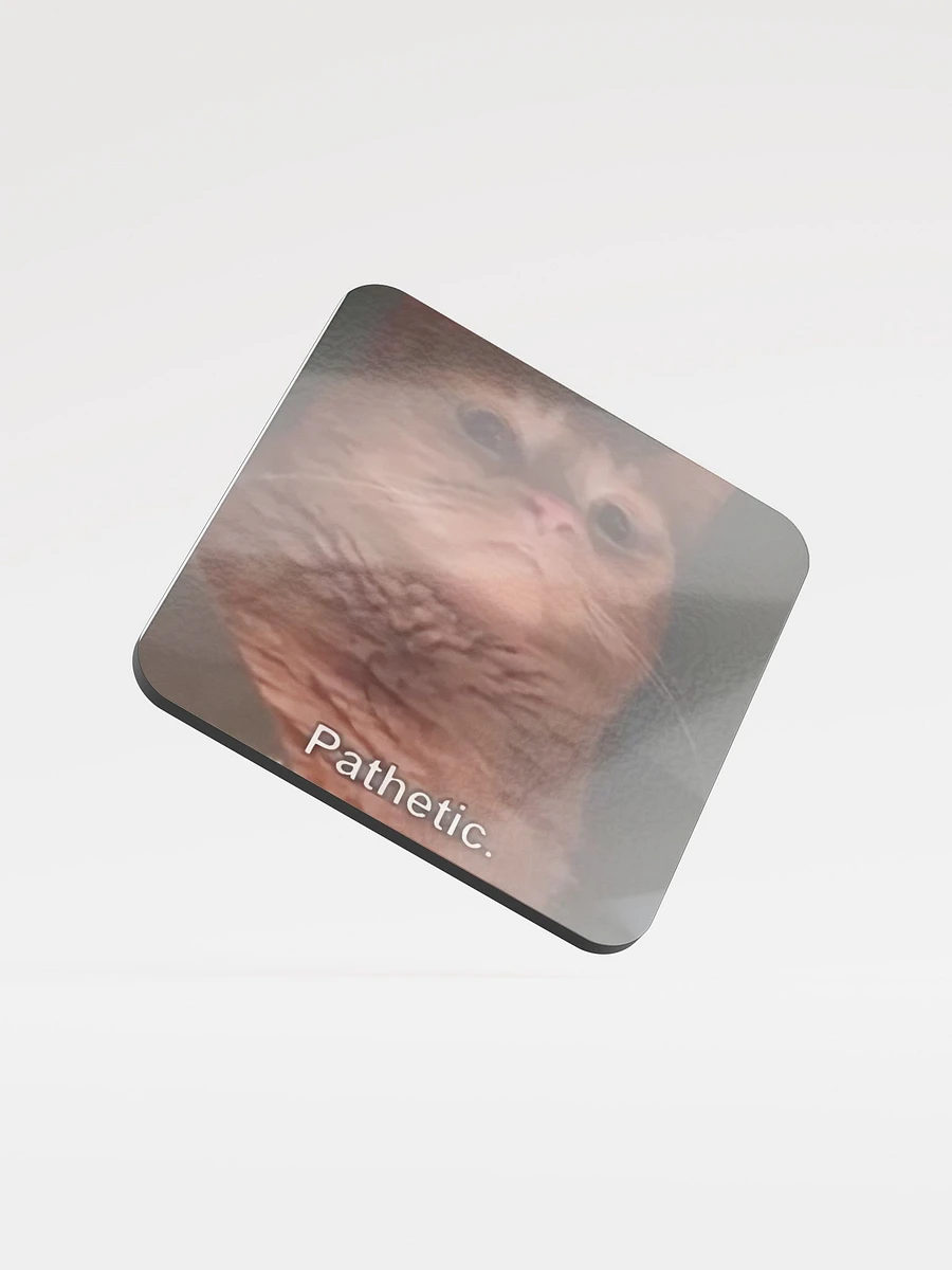 Glossed Cork Coaster: Meme Cats product image (1)