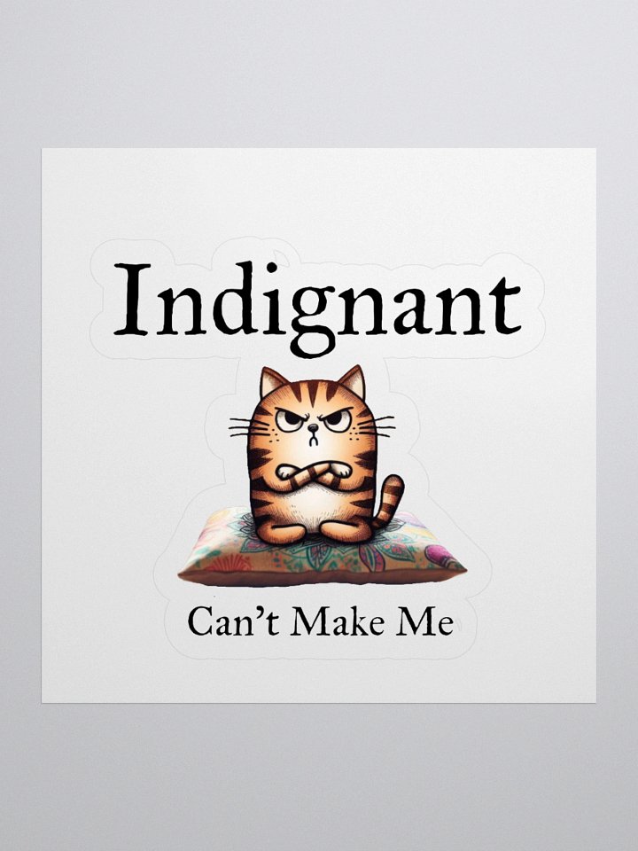 Indignant sticker! product image (2)