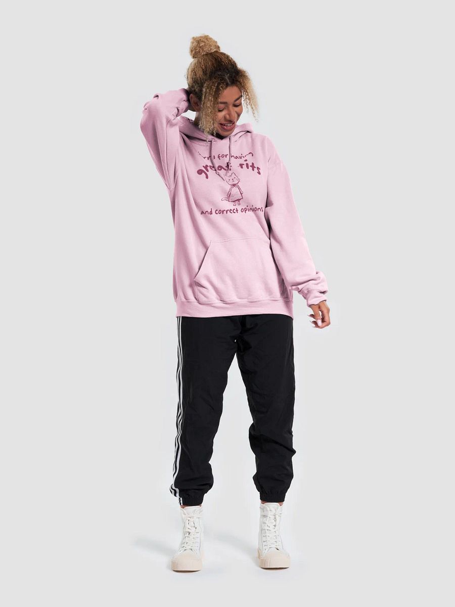 Sorry for having great tits and correct opinions Hoodie product image (3)