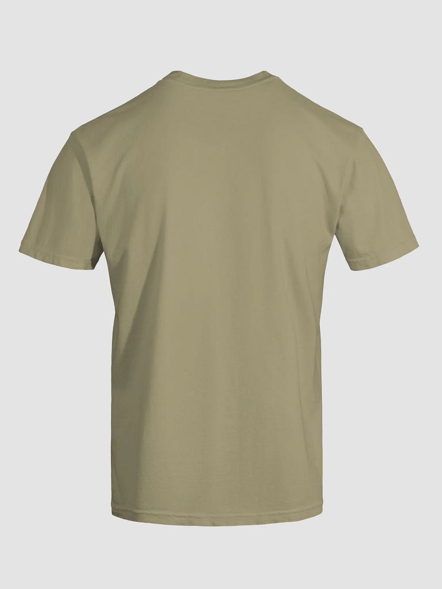 BORN IN NY CAPSULE TEE product image (7)