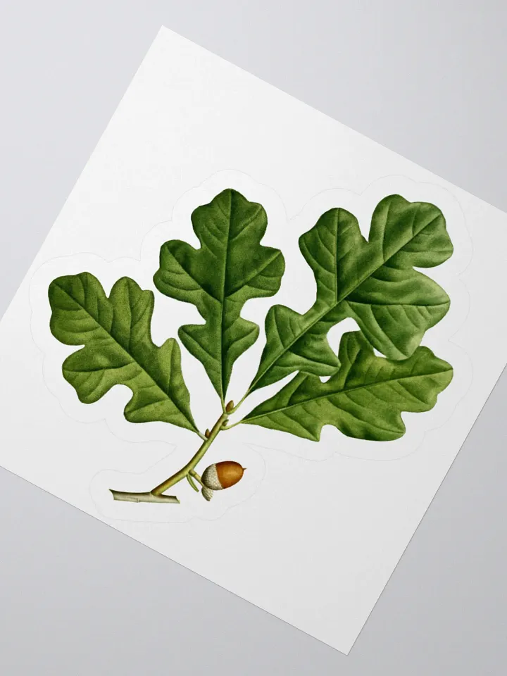 Post Oak Sticker product image (2)