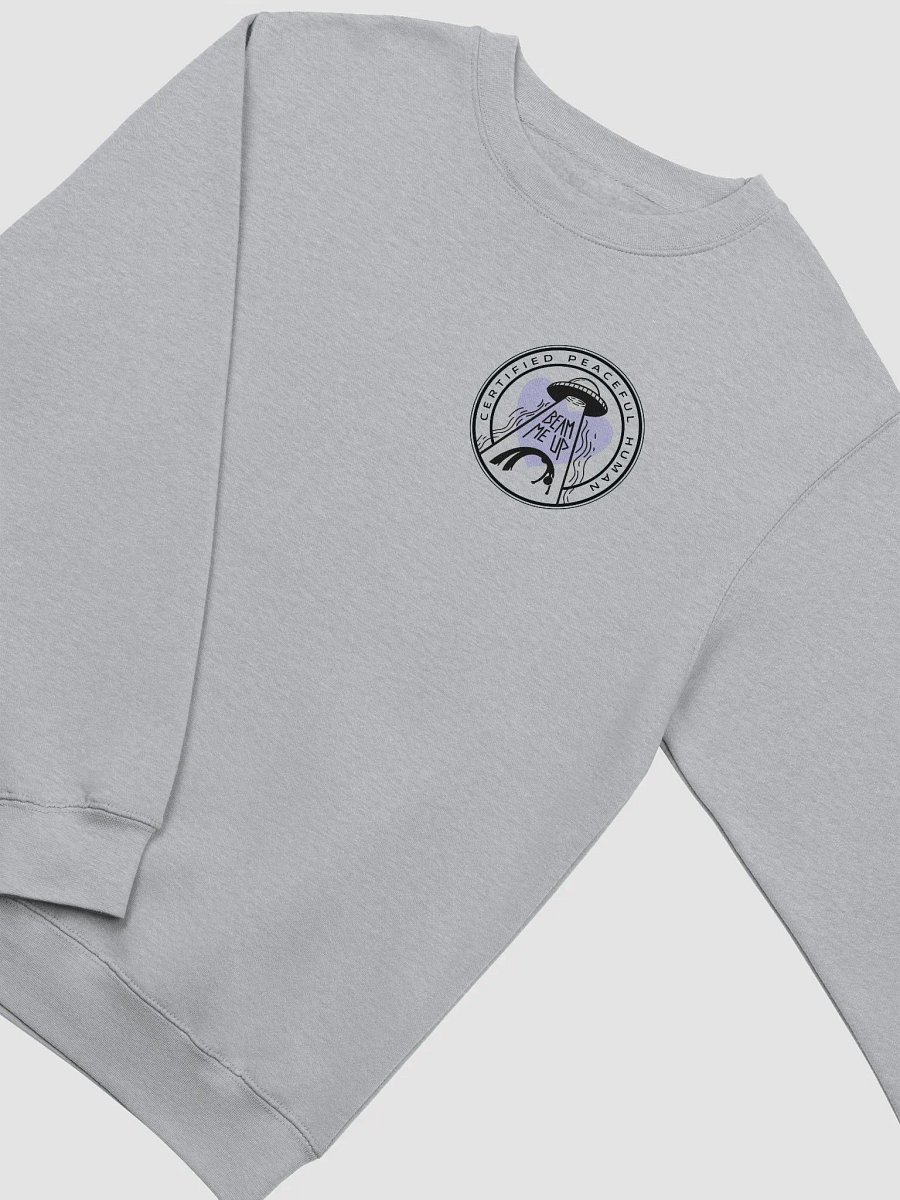 Certified Peaceful Sweatshirt product image (5)
