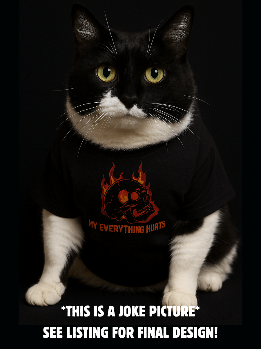 My Everything Hurts! Women's Soft V-Neck product image (2)
