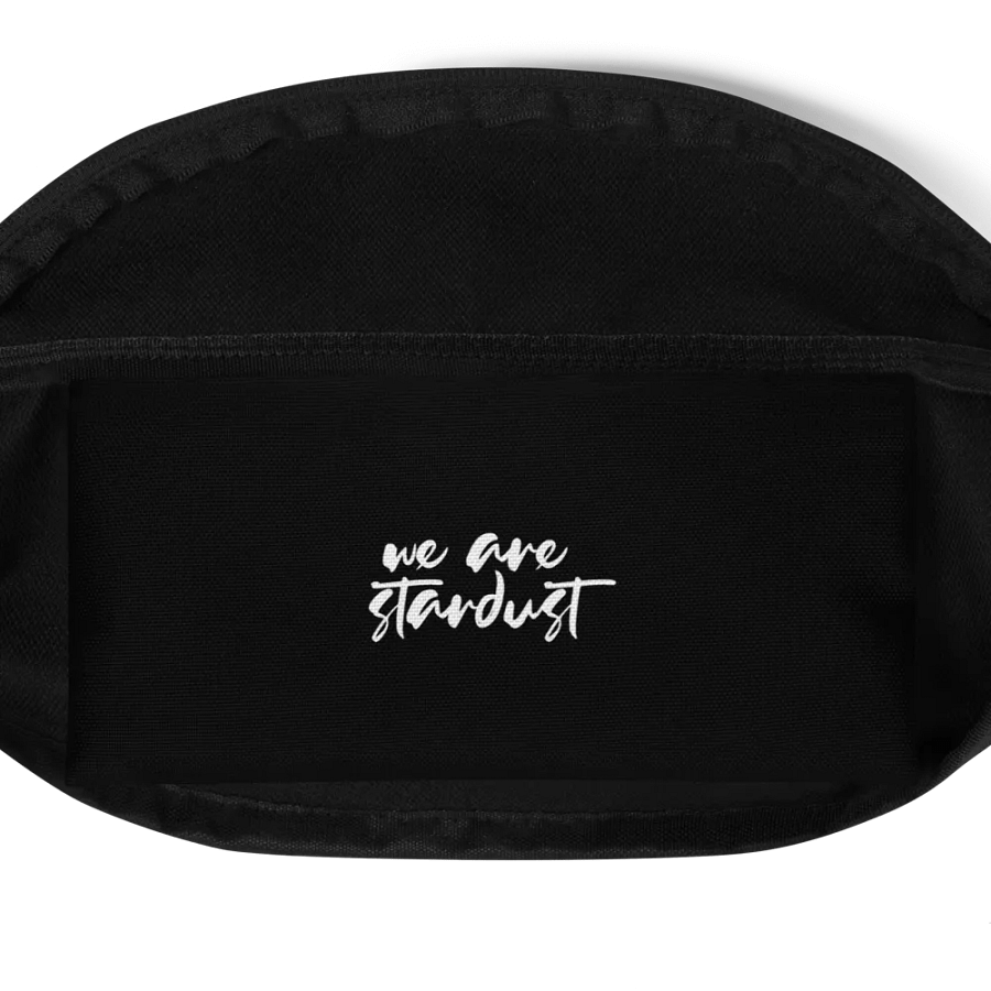 stardust society fanny pack product image (5)