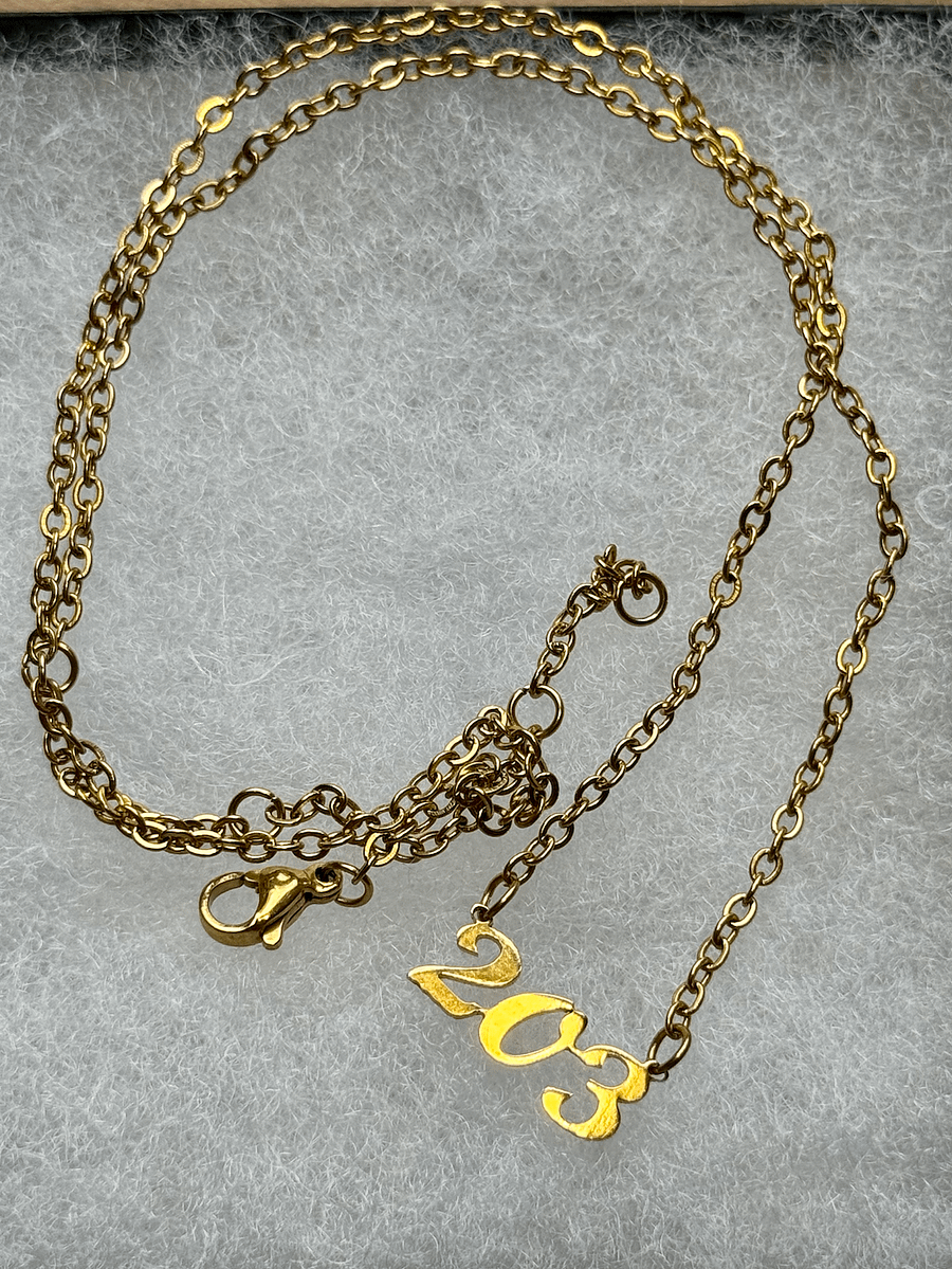 Connecticut Area Code Necklace product image (3)