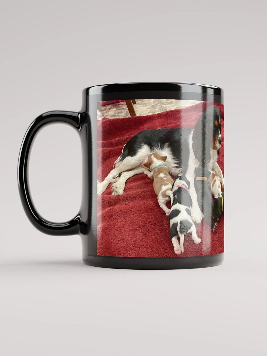 Myra and her 2024 Puppies product image (12)