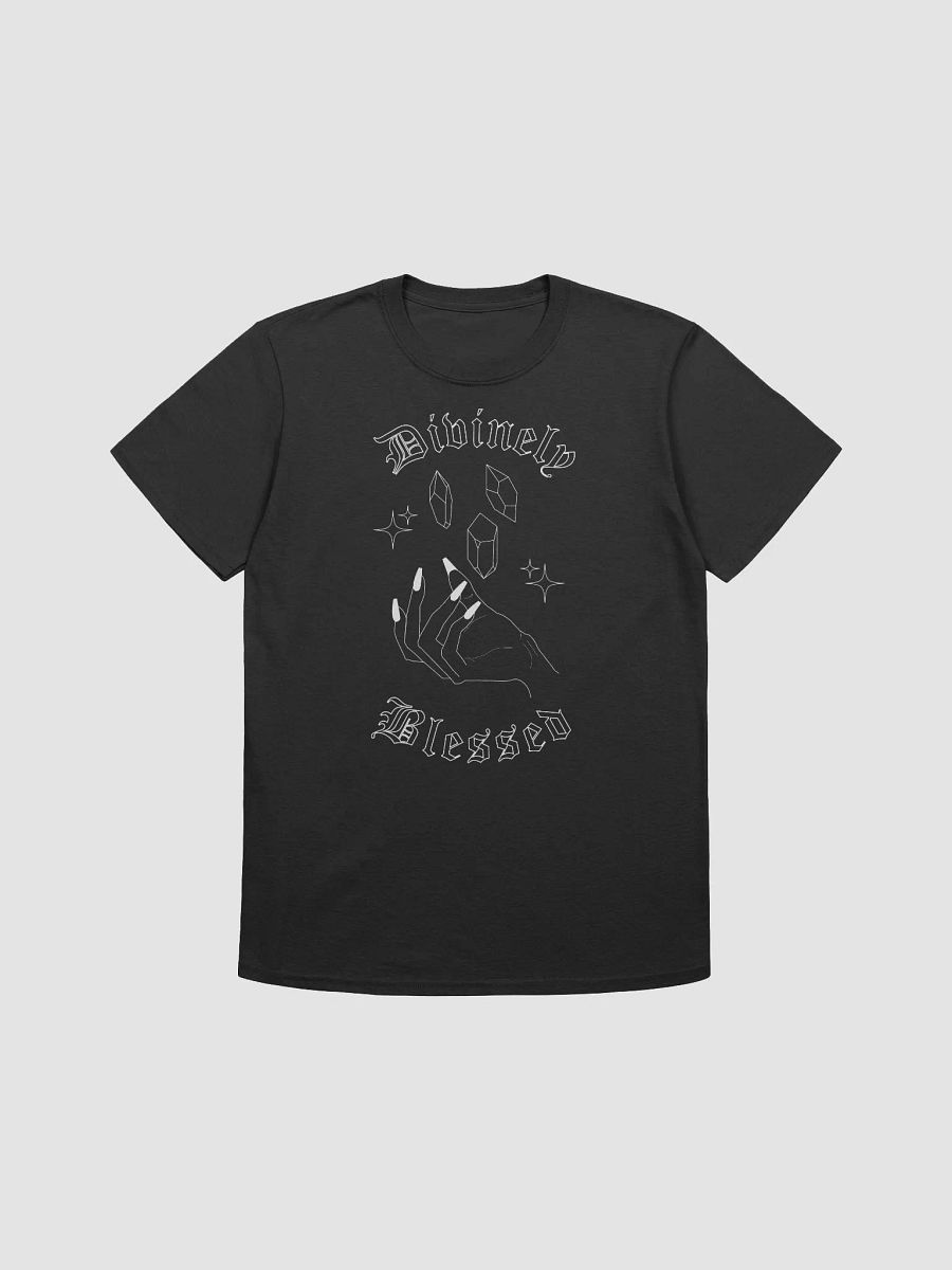 Divinely Blessed T-Shirt Dark product image (2)
