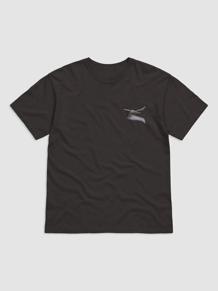 Valentina says trans rights product image (9)