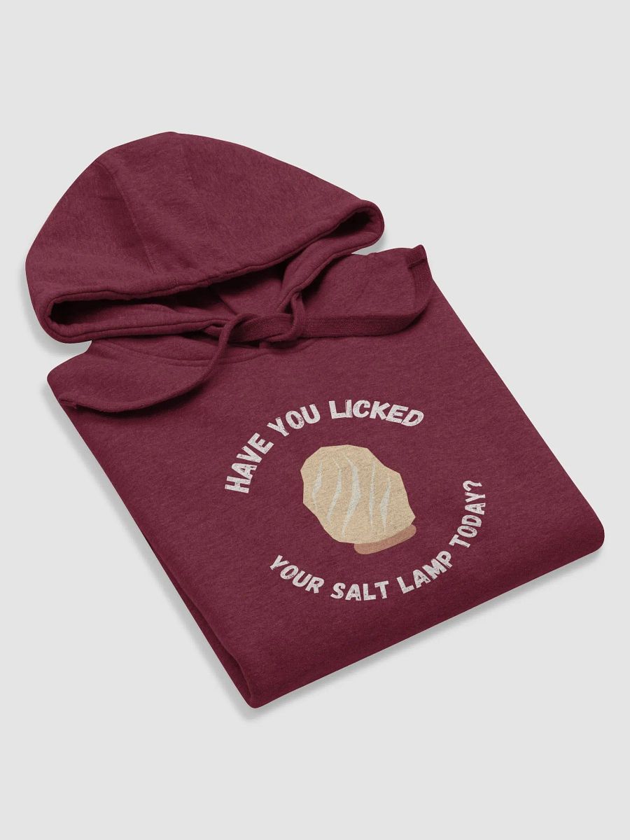 Salt Lamp Hoodie product image (19)