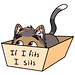 Barley The Cat