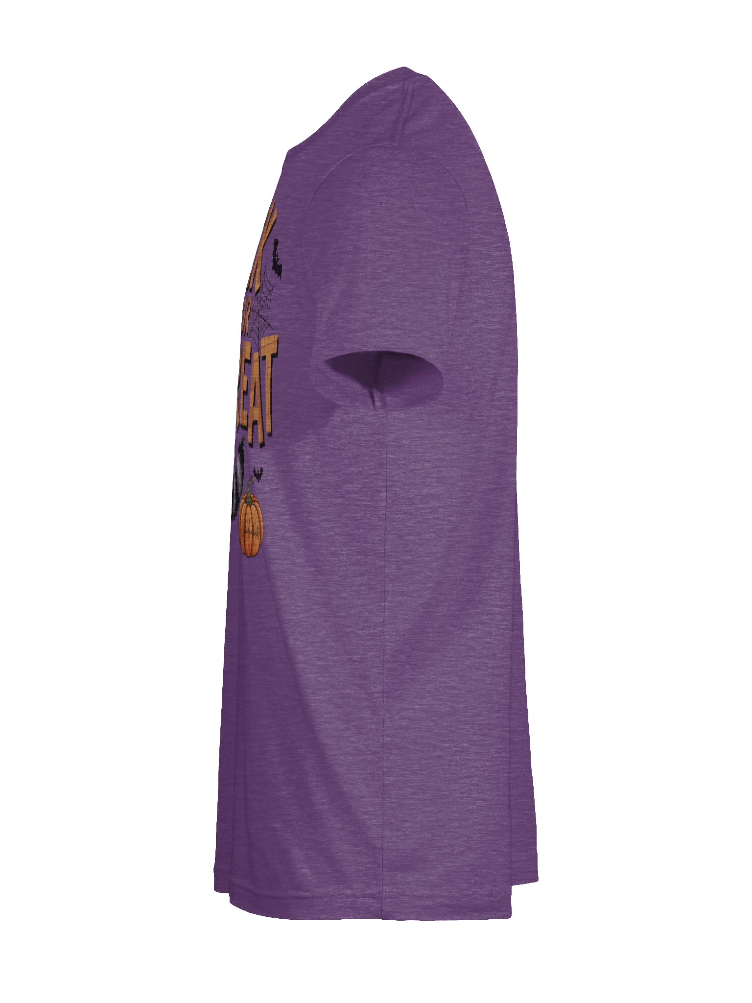 Raccoon Trick or Treat Unisex T-Shirt product image (10)