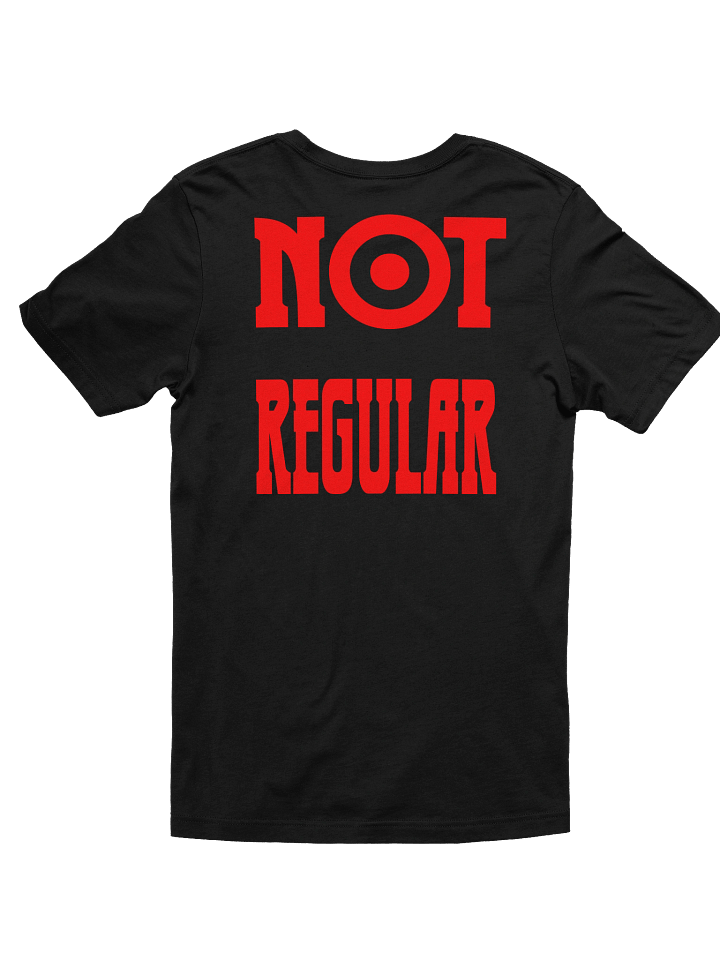 "NOT REGULAR" TEE product image (14)