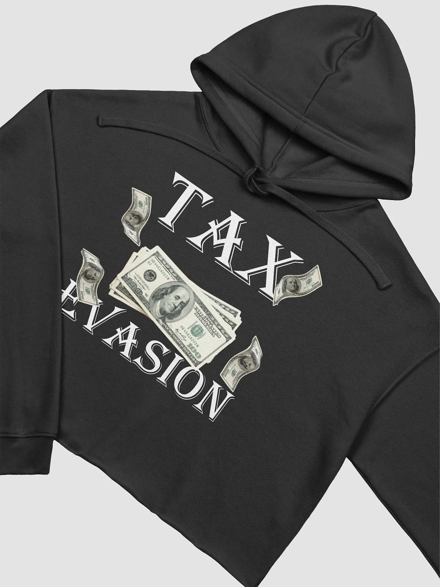 Tax Evasion Cropped Hoodie product image (18)