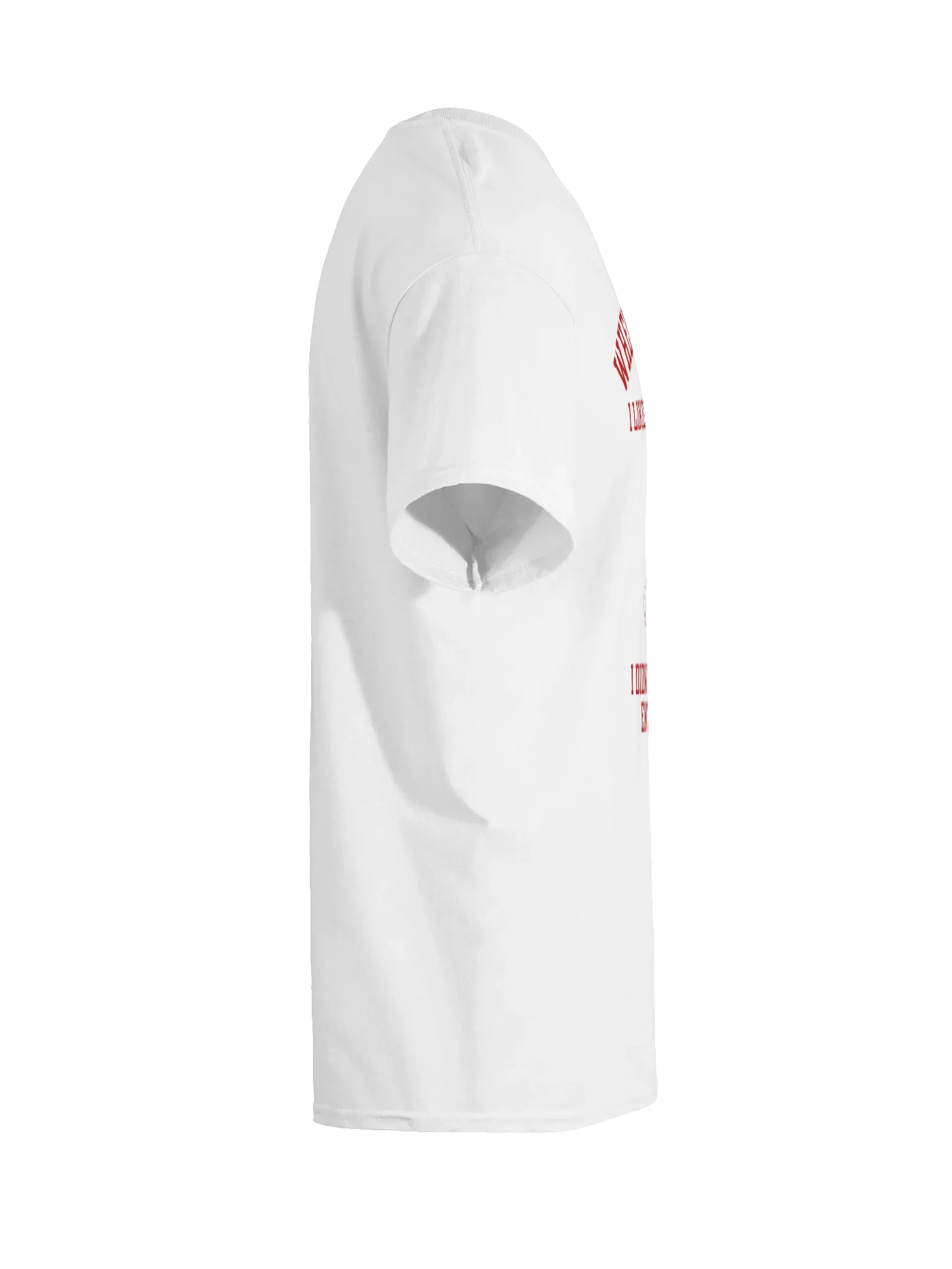 When I Said I Liked Rough I Didn't Mean My Entire T-Shirt product image (10)