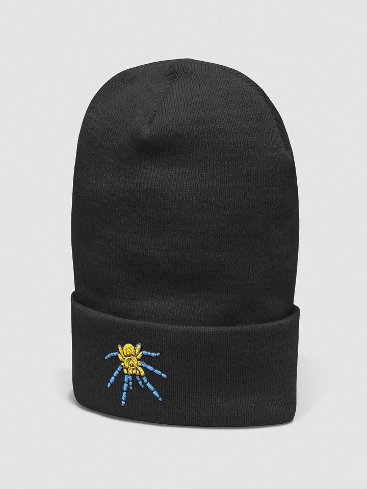 Harpactira pulchripes Embroidered Beanie product image (2)