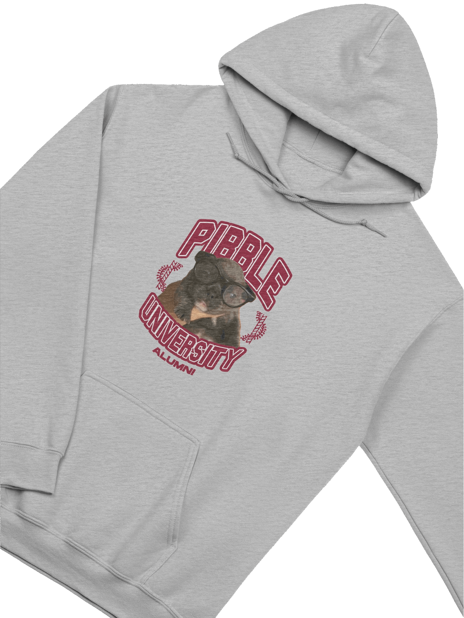 PIBBLE UNIVERSITY ALUMNI HOODIE product image (5)