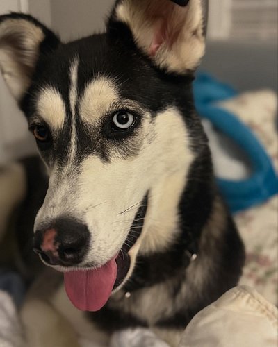 Welcome to the family, Raine!