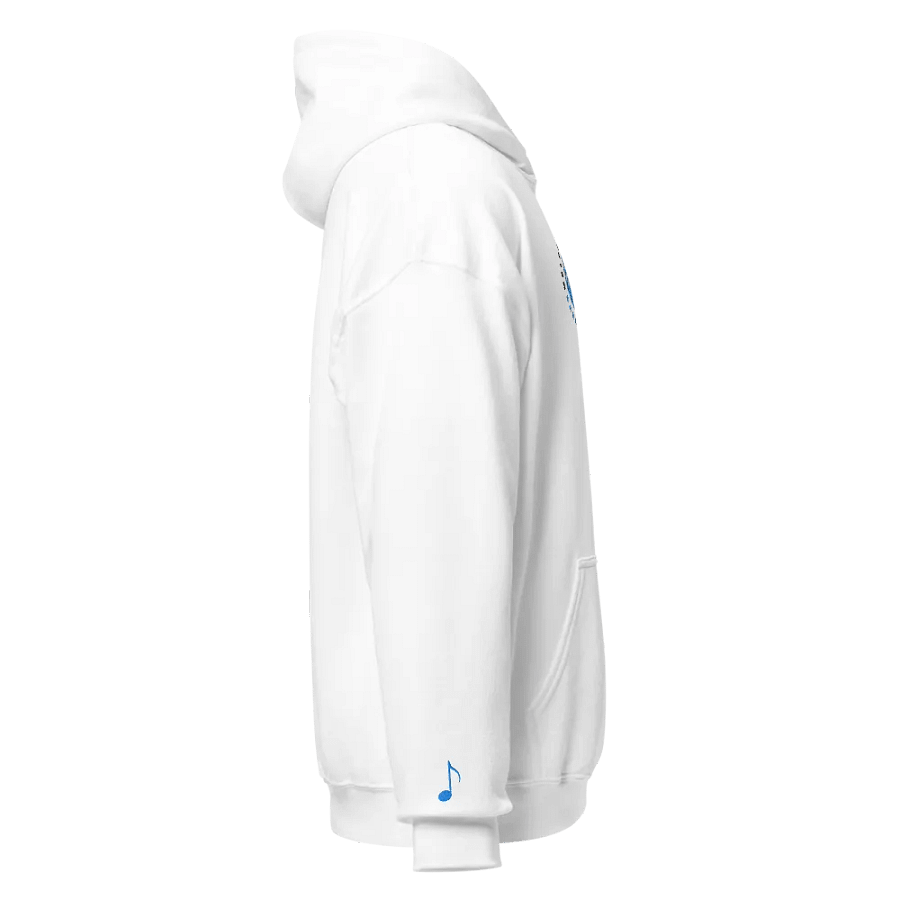 Embroidered "SabaSphere" Hoodie product image (6)