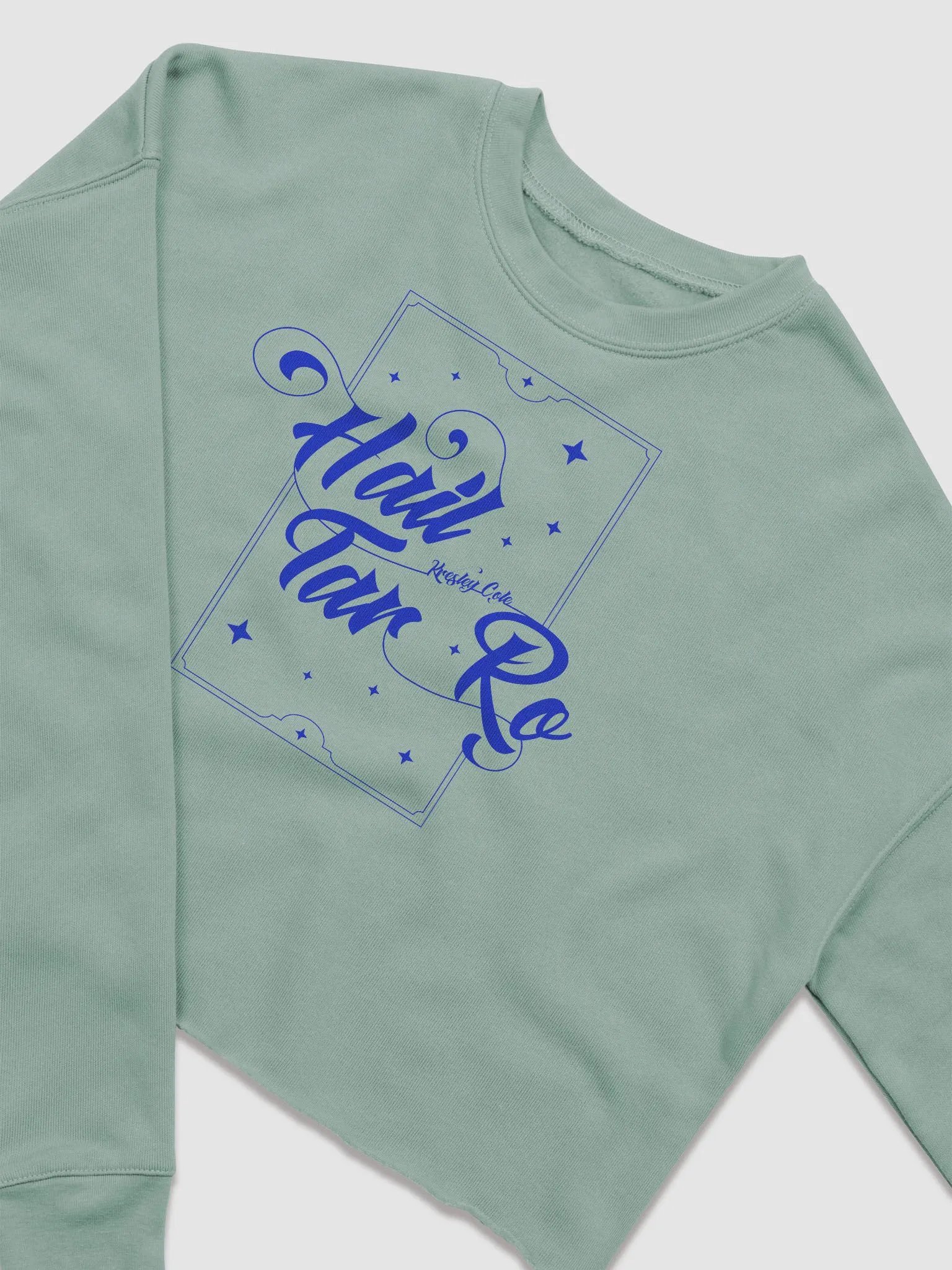 Hail Tar Ro Crop Sweatshirt product image (27)