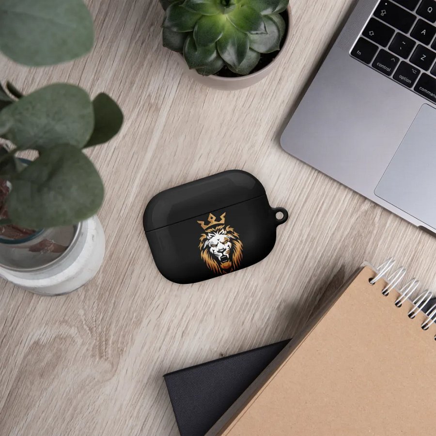 earpods case product image (48)