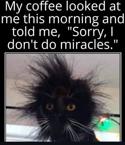 Got to love Mondays...

.

.

#life #cat #catlover #britishshorthair #hdroftheday #catparent #5am #caffeineaddict #coffeeinth...