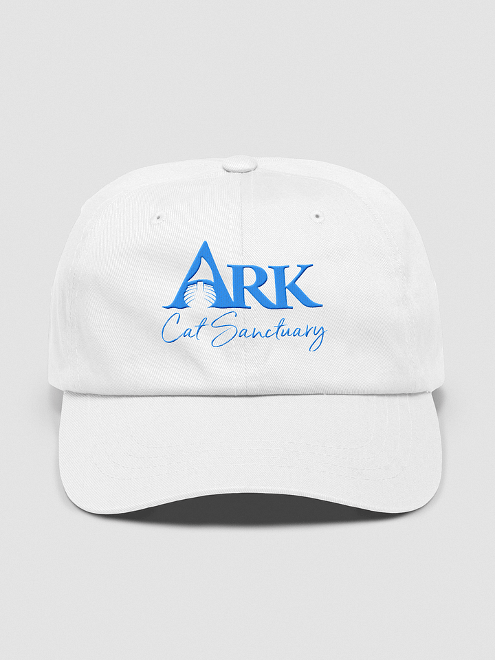 Ark Hat - White or Black product image (1)