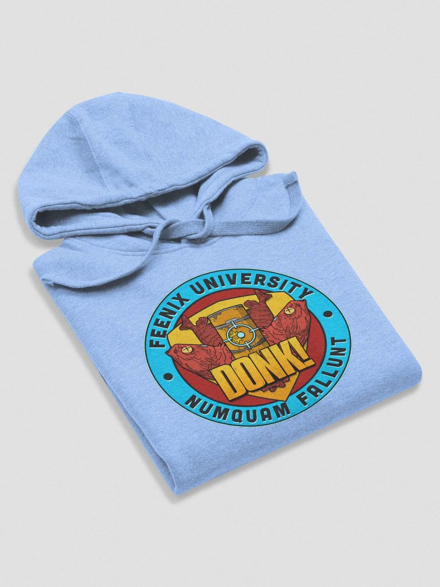 Feenix University Hoodie product image (64)