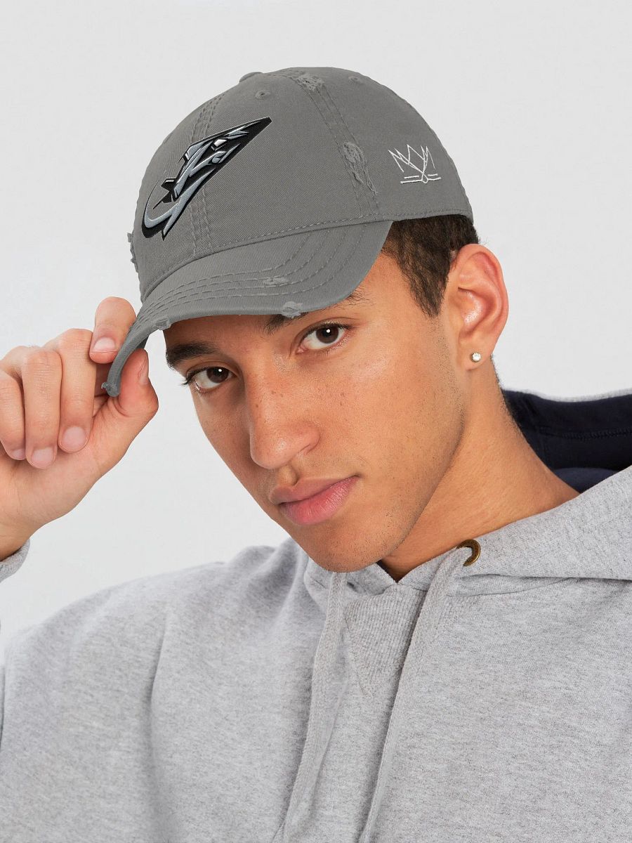 Virginia Beach Nighthawks Distressed Dad Hat product image (9)
