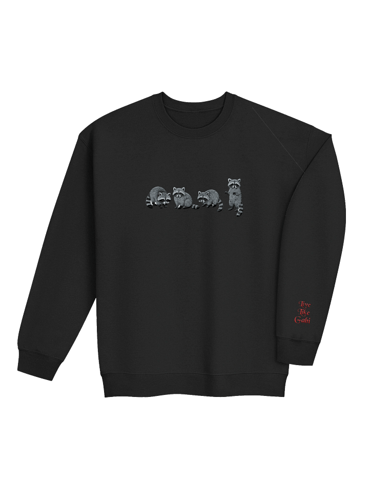 Live Like Gabi's Signature Embroidered Raccoon Crewneck Sweatshirt product image (2)