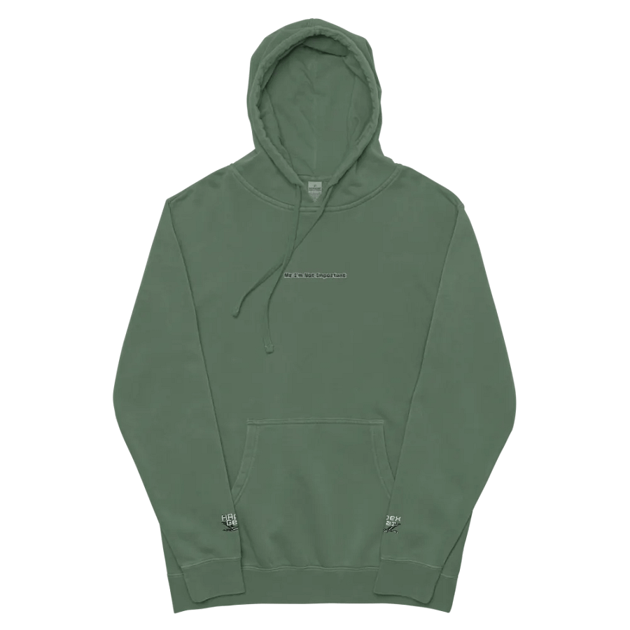 Pigment Dyed Hoodie - Embroidered - Mr I'm Not Important product image (51)